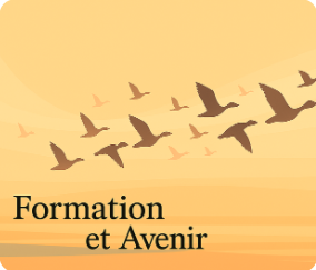 Réflexion orientation